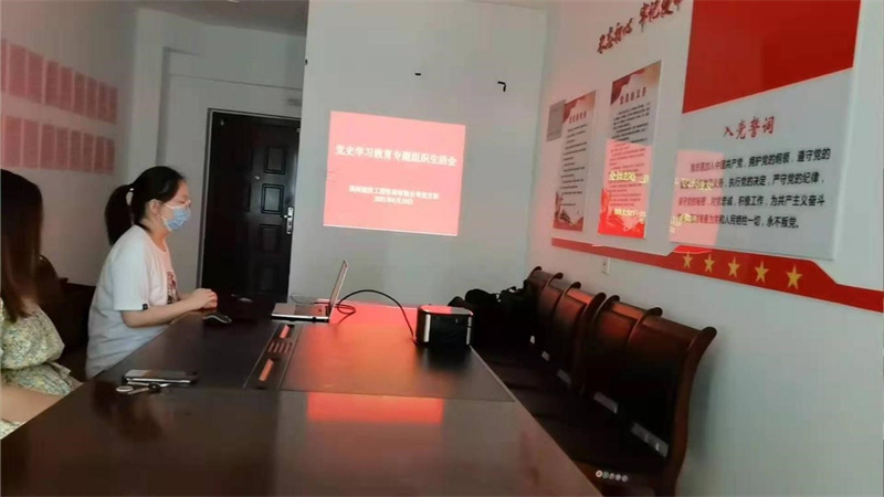 咨詢黨支部召開(kāi)黨史學(xué)習(xí)教育專(zhuān)題組織生活會(huì)